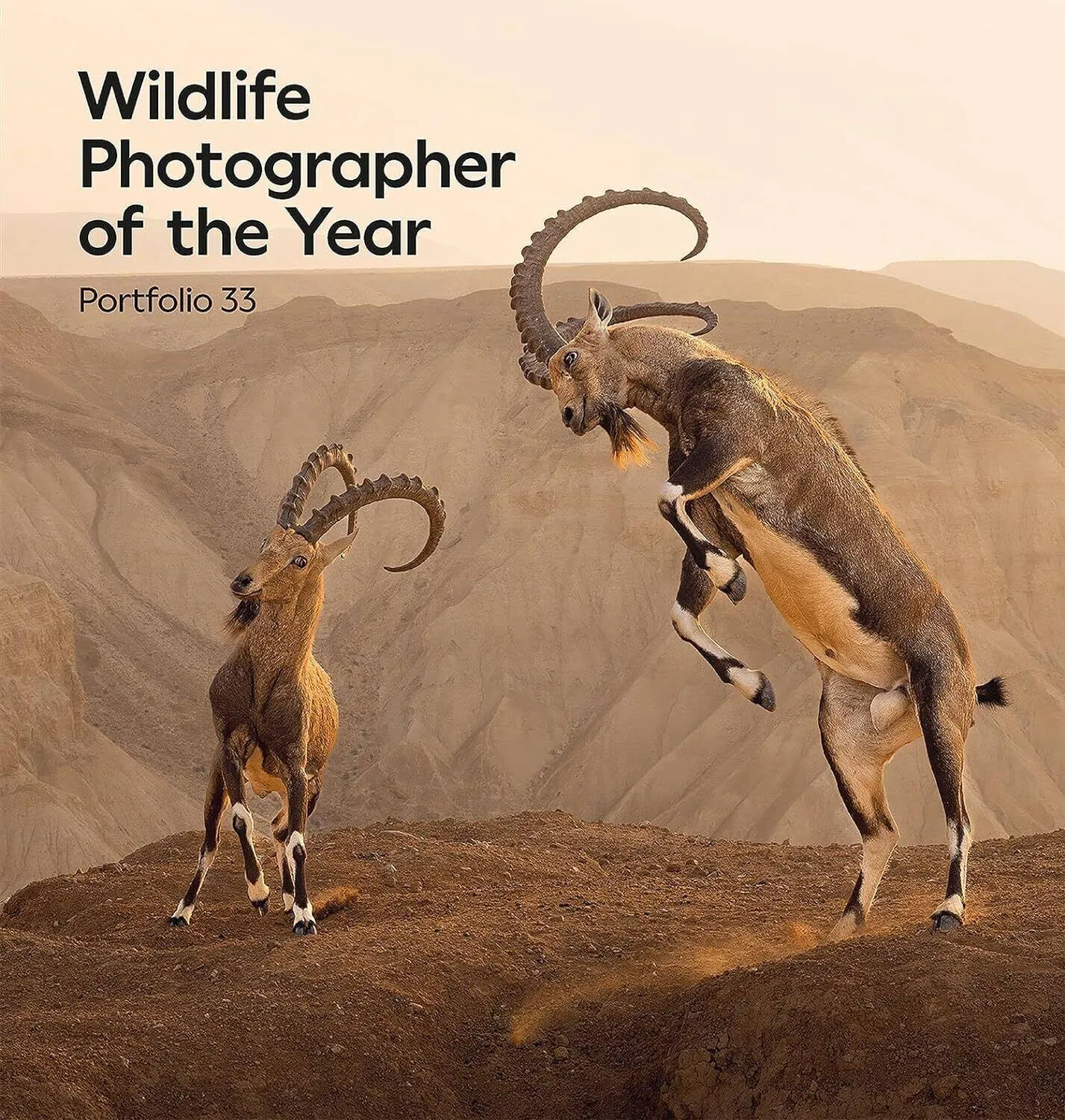 Wildlife Photographer of the Year: Portfolio 33 by Roz Kidman Cox Hardcover Book