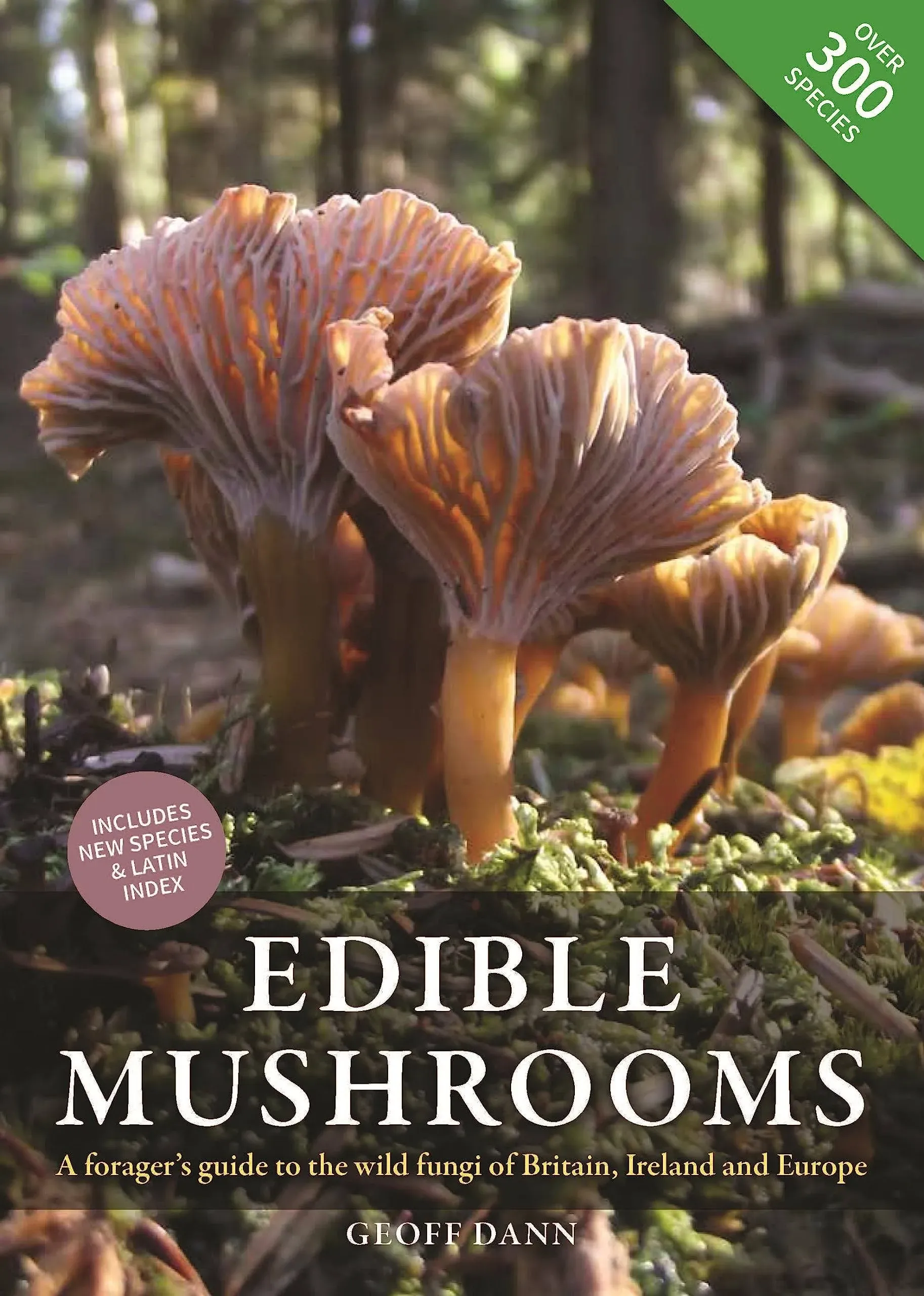 Edible Mushrooms: A Forager's Guide to the Wild Fungi of Britain, Ireland and Europe