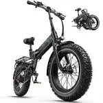 PUCKIPUPPY Electric Bike, Folding Electric Bike 750W 48V 20Ah Removable Battery ...