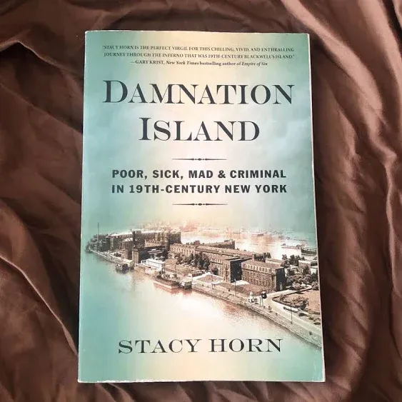 Damnation Island: Poor, Sick, Mad, and Criminal in 19th-Century New York by Horn