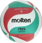 Molten Volley Ball