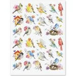 Current Watercolor Birds Stickers Set of 52