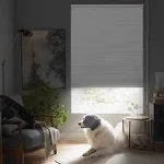 Cellular Shades Cordless, Blackout Shades Cellular Blinds for Indoor Windows, Bl