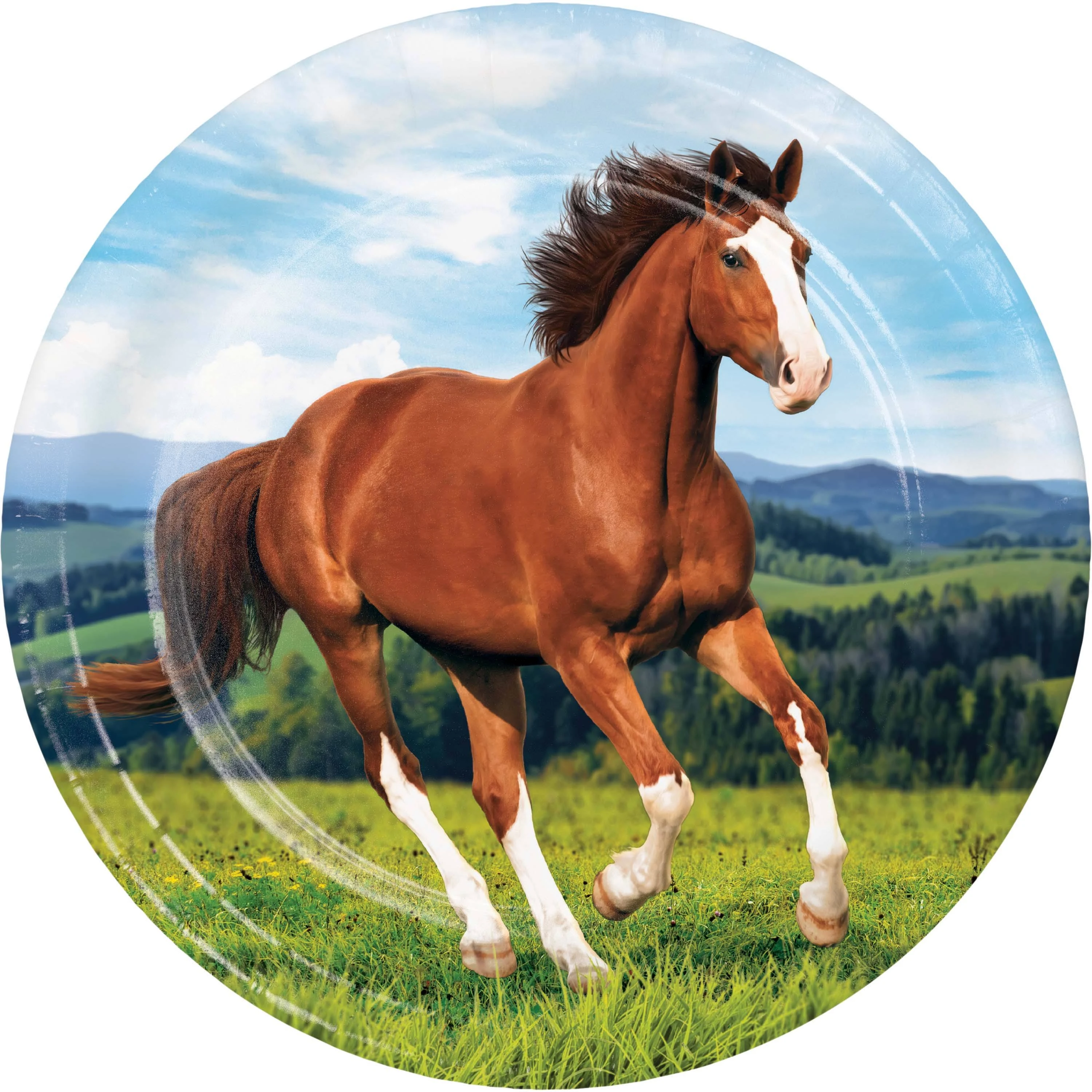 Wild Horse Paper Plates, 8 ct