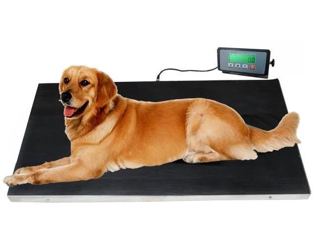 NEW! 660lb 37 x 20&#034; Veterinary Scale Digital Platform Floor Vet Alpaca Dog Llama