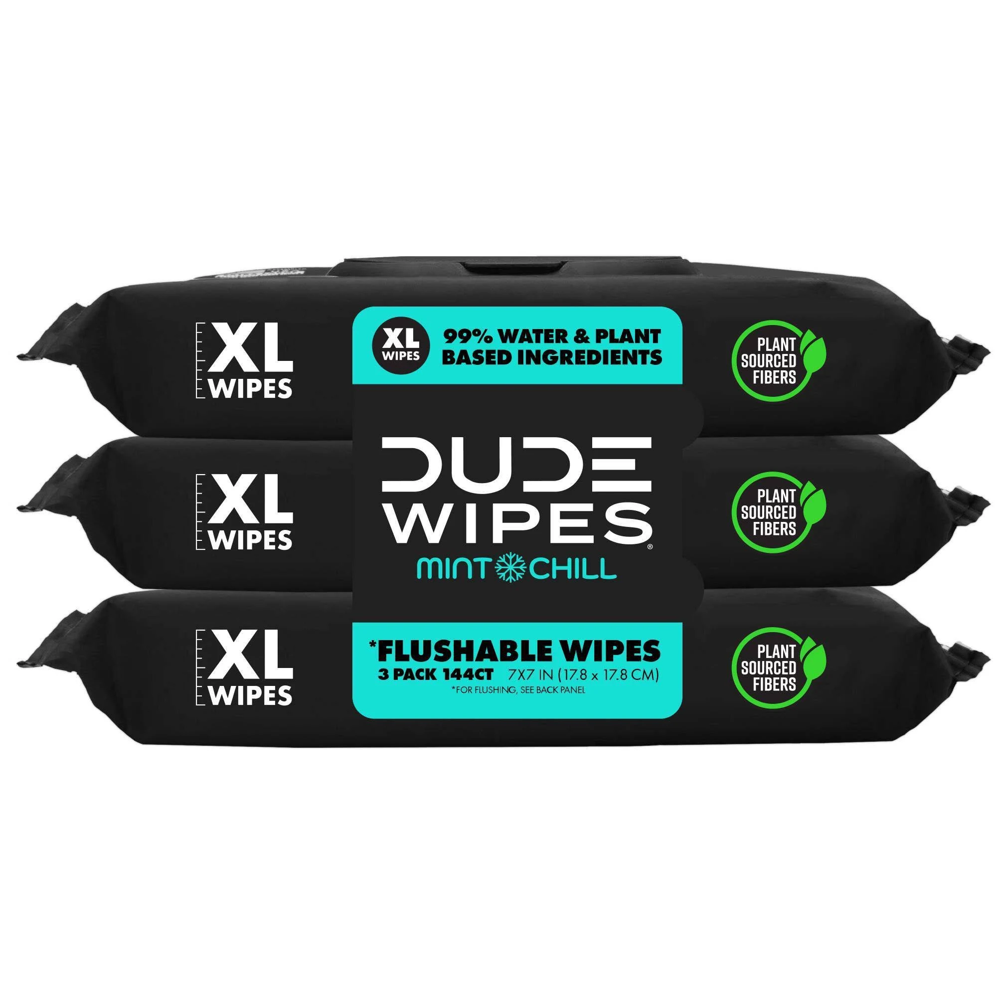 Dude Wipes Mint Chill Flushable Wipes (3-pack)