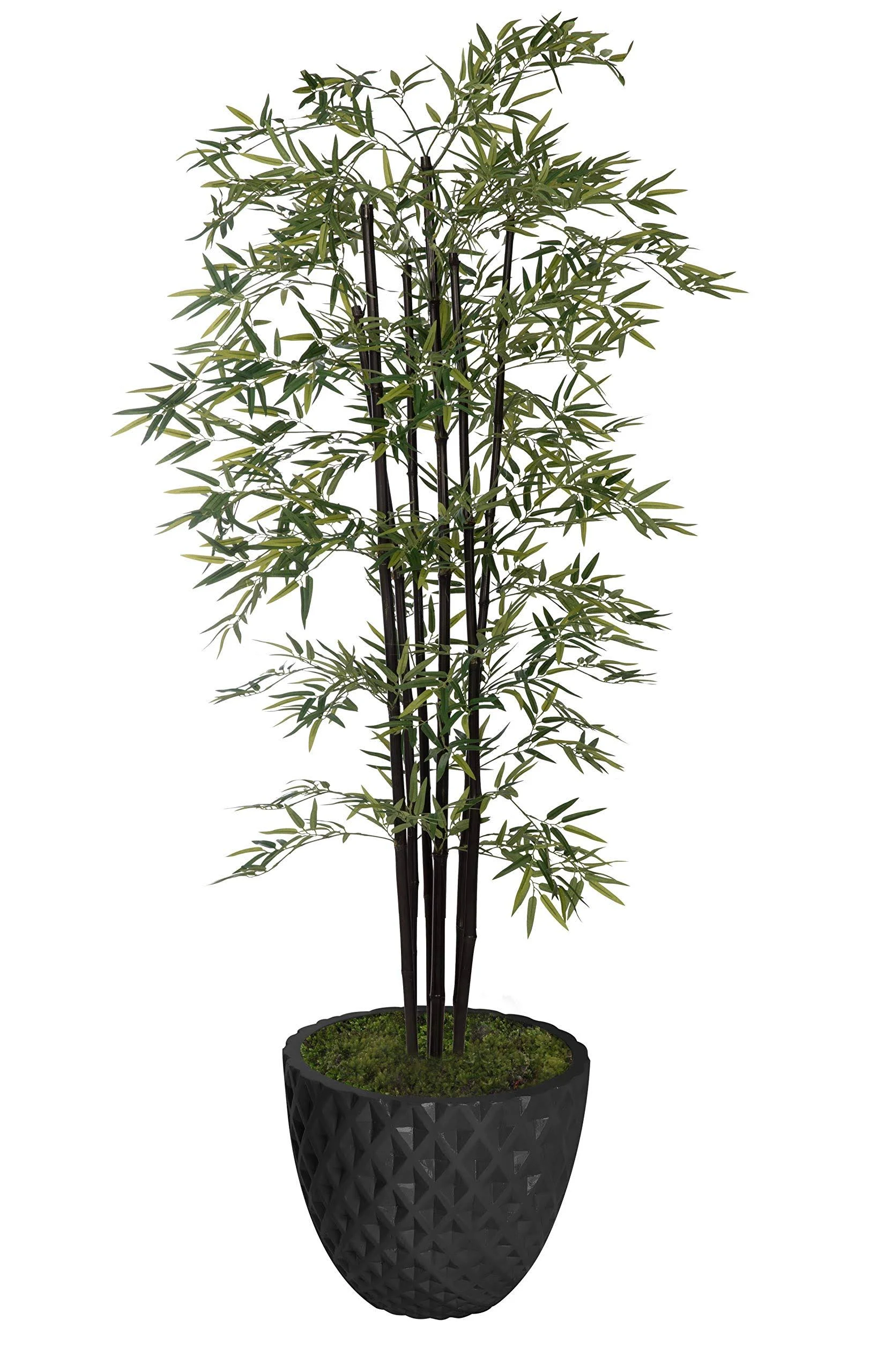 77.6" Tall Bamboo Tree with Decorative Black Poles and Fiberstone Planter