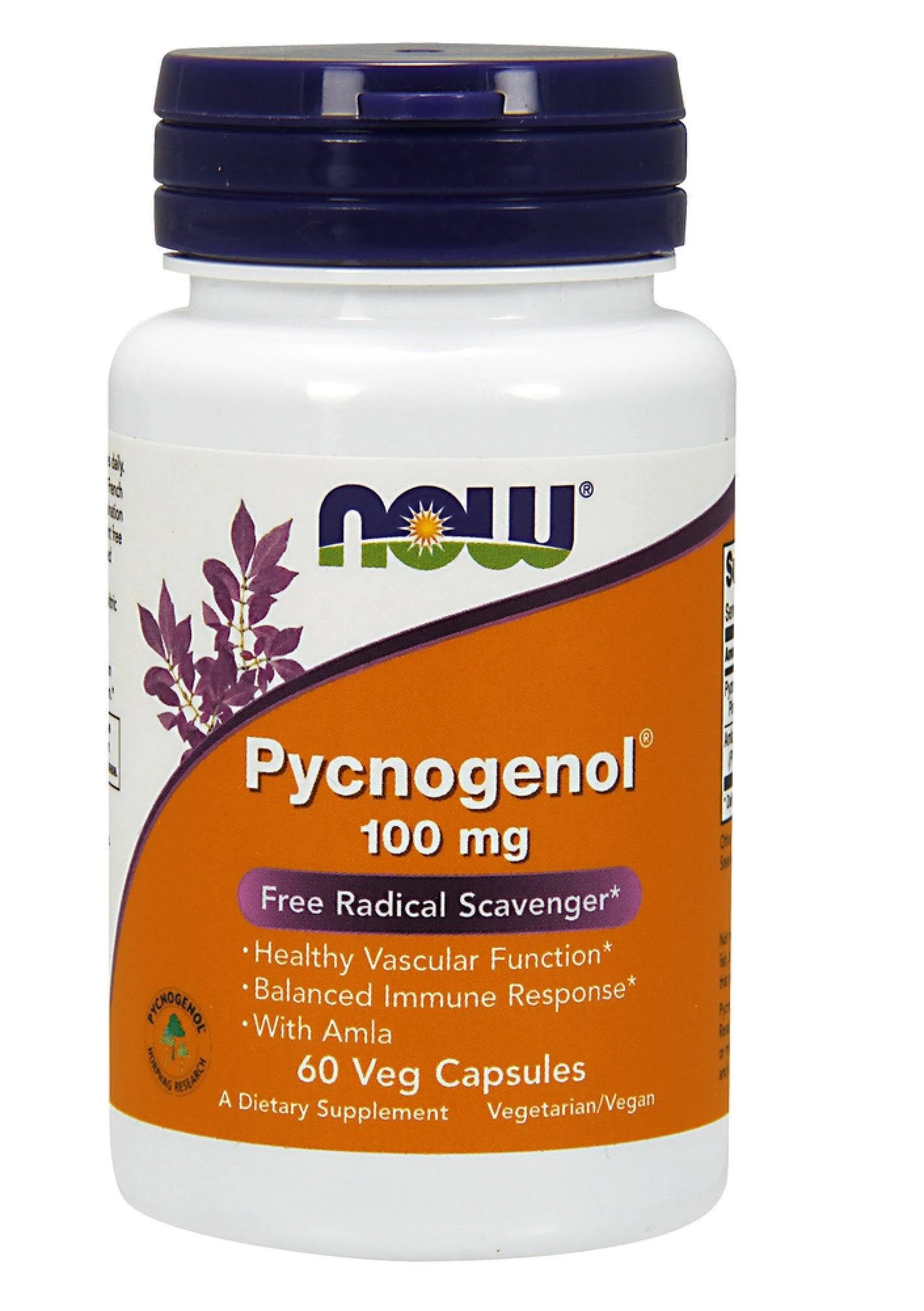 Now Foods Pycnogenol 100 mg 60 Capsules