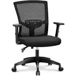 ALPHA HOME Office Chair Ergonomic Home Desk Chair Mid Back Mesh Computer Chair with Lumbar Support Executive Stool with Adjustable Armrest & Seat Cushion Rolling Swivel Desk Chair,Black