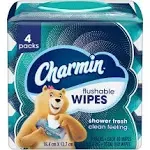 Charmin Freshmates Flushable Wipes - 4 pack, 40 count each