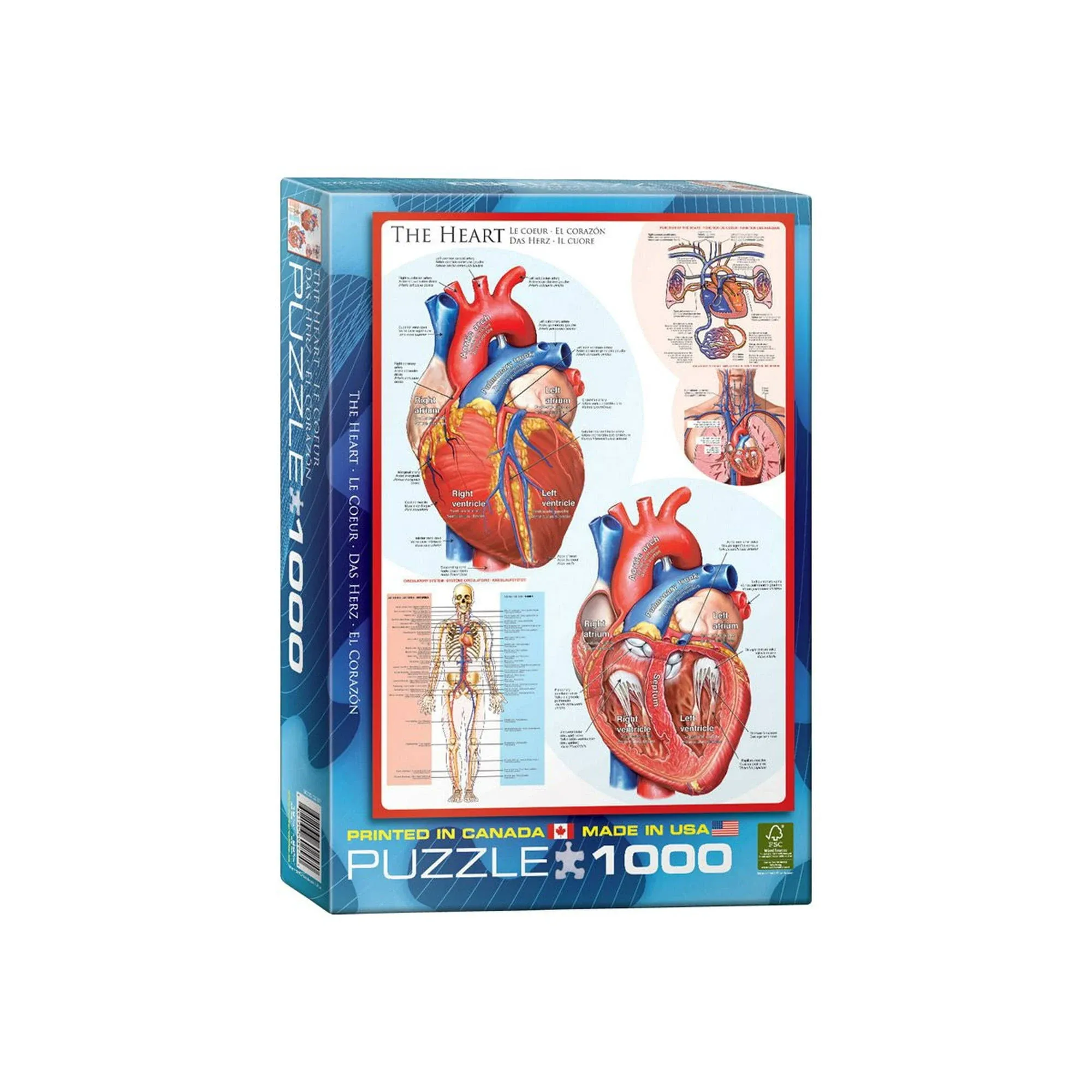 EUROGRAPHICS The Heart 1000-Piece Puzzle