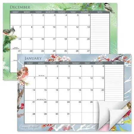 2024-2025 A Year of Birds Desk Calendar Pad, 11-Inch x 16-1/4-Inch Size, Large 24-Month Bookstore-Quality Calendars for Kitchen & Office, by Current