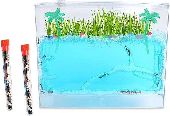 Nature Gift Store Live EcoSystem Ant Habitat Shipped with 50 Live Ants Now (2 ...