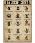 Types of Bee Retro Nostalgic Art Print Poster Tin Sign Cafe Bar Metal Sign Garage Plaque