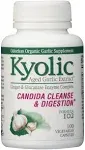 Kyolic Aged Garlic Extract Candida Cleanse Digestion Formula 102