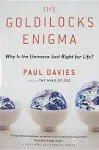 The Goldilocks Enigma: Why is the Universe Just Right for Life? [Book]