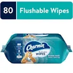 Charmin Freshmates Flushable Wipes - 4 pack, 40 count each