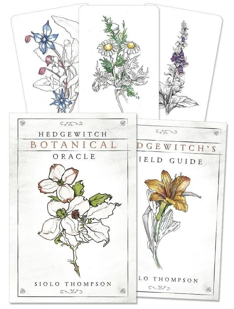 Hedgewitch Botanical Oracle [Book]