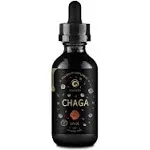 GOLDZEN Chaga Mushroom Supplement