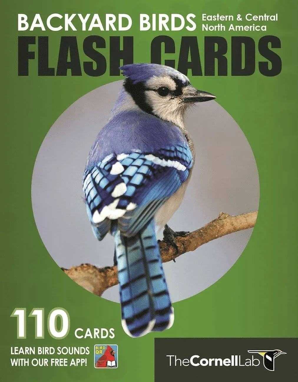 Backyard Birds Flash Cards: Eastern & Central North America