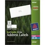 Avery 48160 EcoFriendly Laser/Inkjet Address Labels, 1 x 2-5/8, White, 750/Box