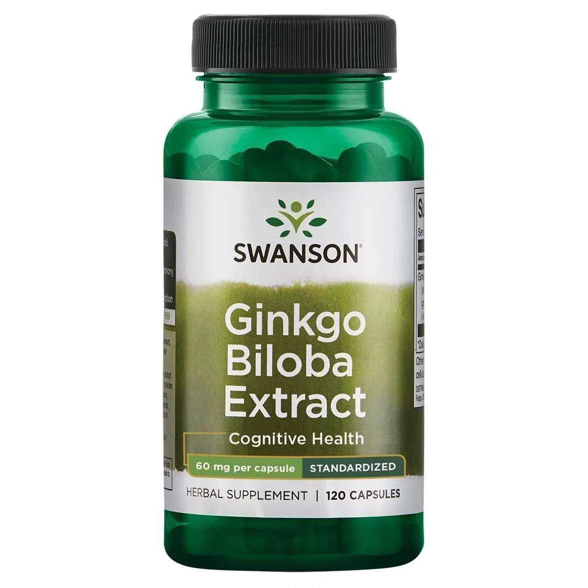 Swanson Ginkgo Biloba Extract 60 mg, 240 Kapseln