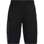 Boys' UA Prototype 2.0 Wordmark Shorts