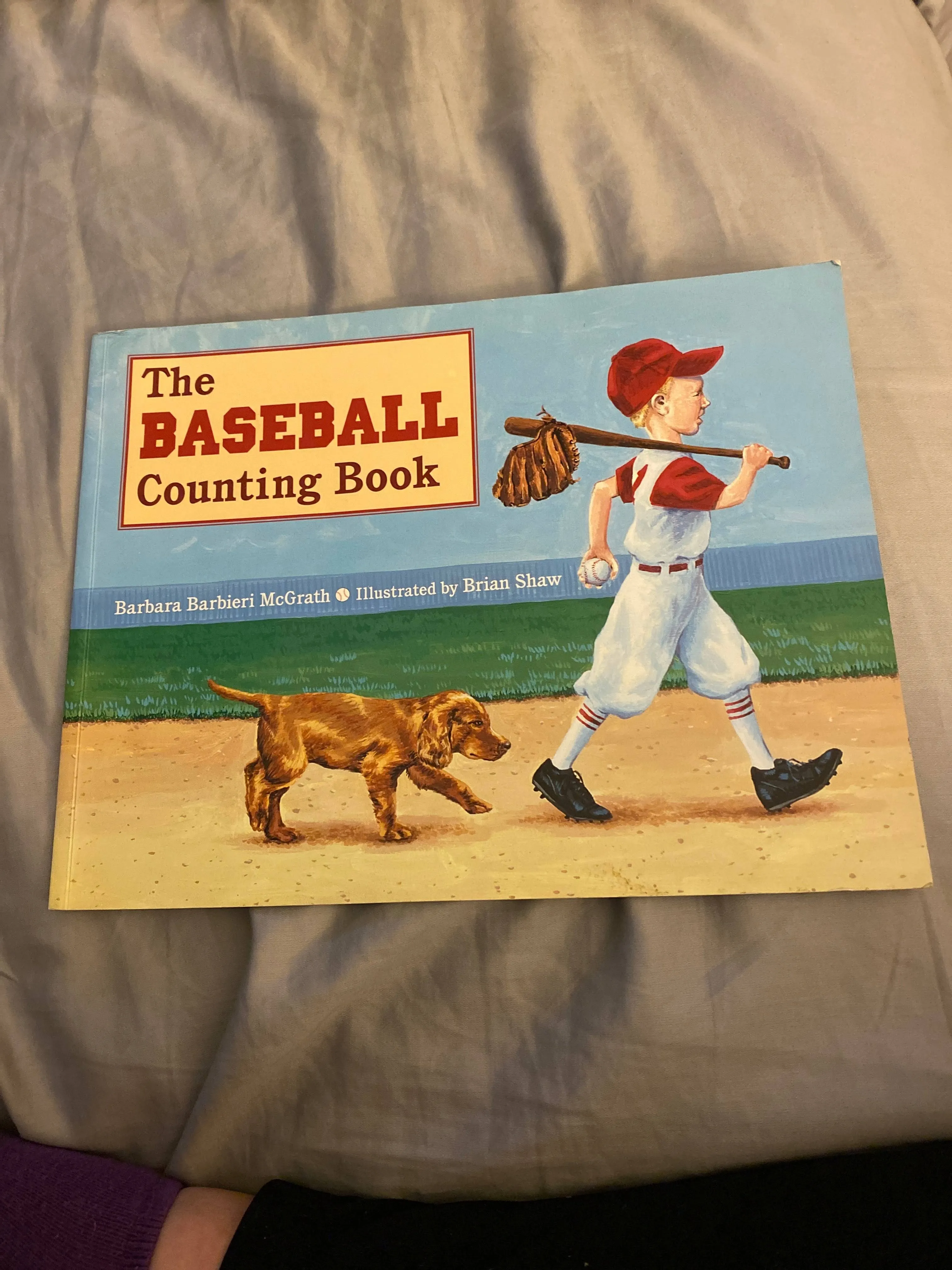 The Baseball Counting Book [Book]