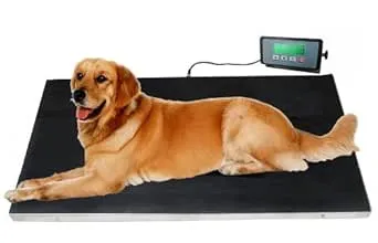 Heavy Duty 660 Pounds Veterinary Dog Scale with Stainless Steel Platform and Rubber Mat for Dog Cat Pet Alpaca Llama Sheep Fish Vet