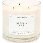 Aspen + Fog | 3 Wick Soy Candle