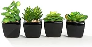 Nattol Modern Mini Artificial Succulent Plants Potted In Cube-shape Black Ceramic Pots For Home Decor