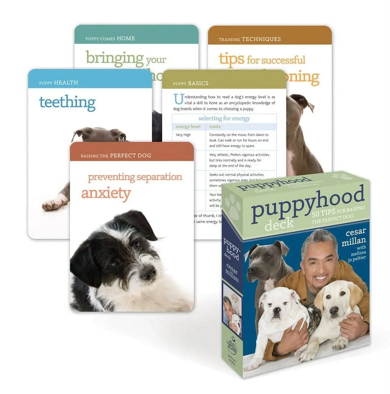 Puppyhood Deck: 50 Tips for Raising the Perfect Puppy [Book]