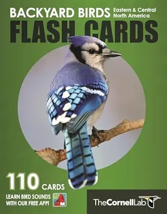 Backyard Birds Flash Cards - Eastern & Central North America