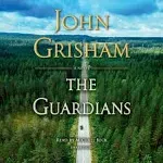 The Guardians: A Novel