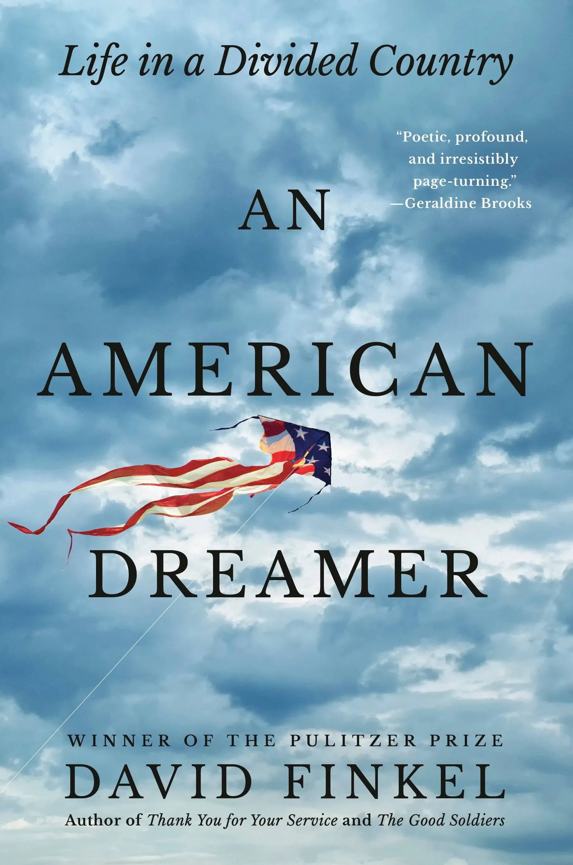 An American Dreamer: Life in a Divided Country [Book]