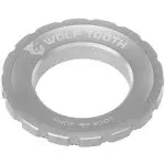 Wolf Tooth CenterLock Lockring - Silver