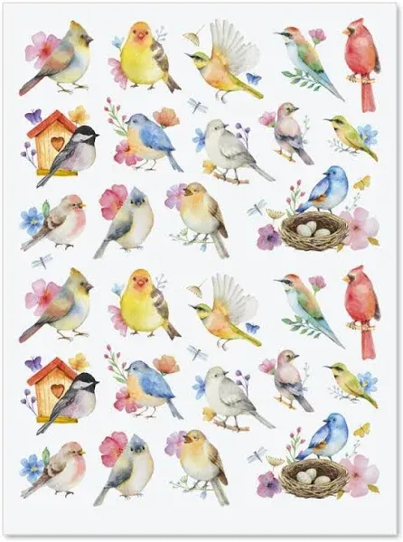 Watercolor Birds Sticker | Colorful Images