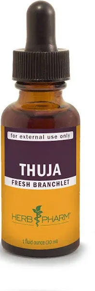 Thuja Branchlet Liquid Extract - 1 Ounce (DTHUJA01)