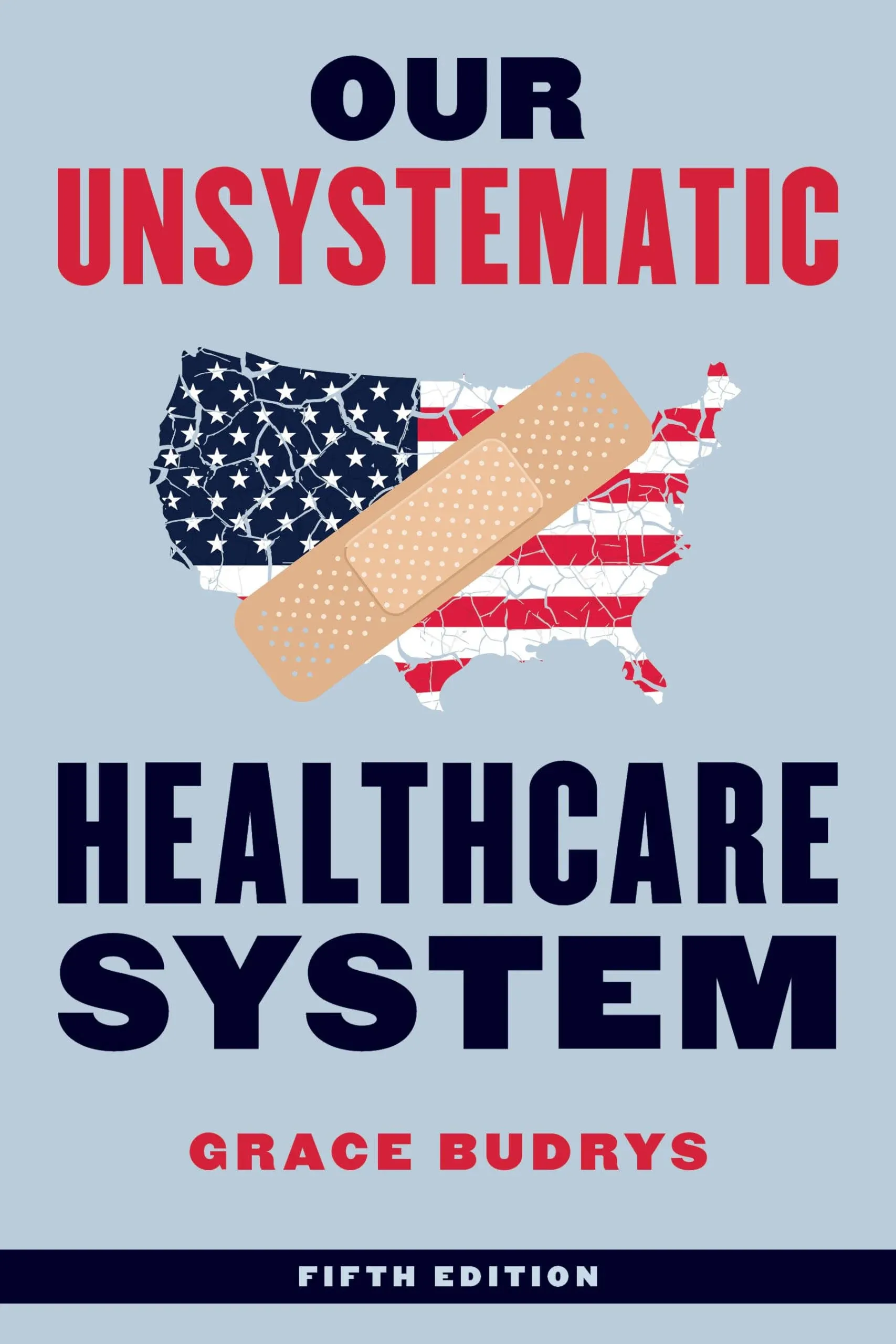 Our Unsystematic Healthcare System - Moby the Great