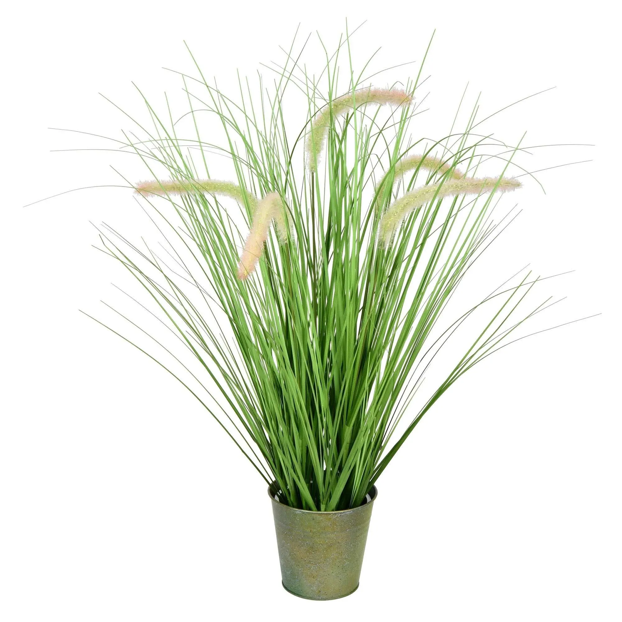 26" Green Cattail Grass in Iron Pot