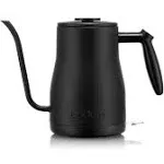 Bodum Bistro Gooseneck Electric Water Kettle