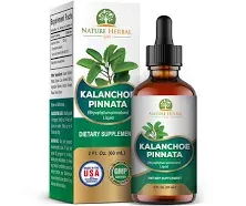 Kalanchoe Pinnata (Bryophyllum Pinnatum), Glycerite, Dried Leaf and Stem Liquid Extract. Herbal Supplement, Antioxidantes de Kalanchoe Pinnata-Siempreviva. 1 Bottle. 2 oz