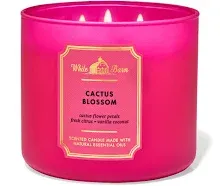 NEW Bath and Body Works White Barn Cactus Blossom,  3 Wick Candle