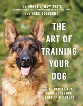 The Art of Training Your Dog: How to Gently Teach Good Behavior Using an E-Collar