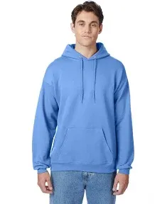 Ecosmart Hooded Hoodie Sweatshirt Hanes Men's