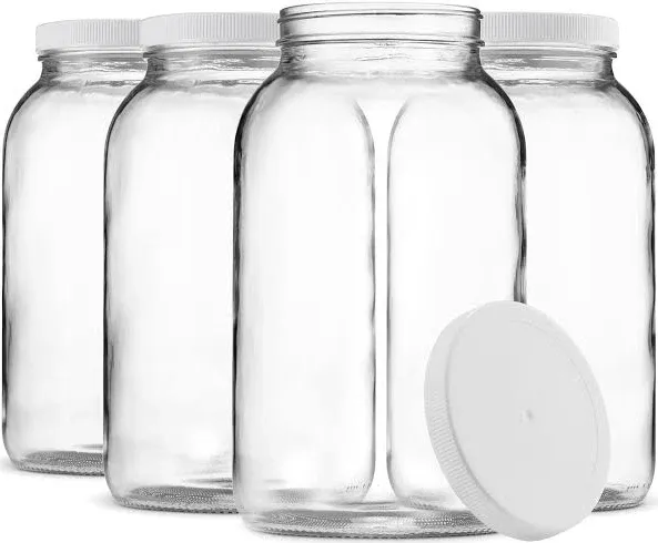 Paksh Novelty 1-Gallon Glass Jar