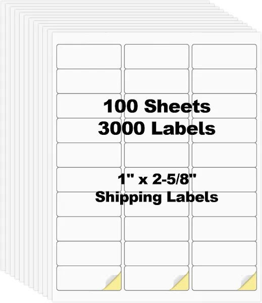 Risepekt 3000 Labels 30-up 1"x2-5/8" Shipping Return Address FBA Labels for Laser & Inkjet Printers