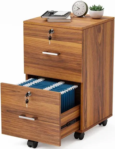 2 Drawer File Cabinet with Lock