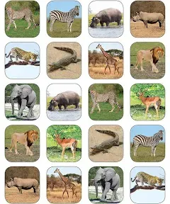 Teacher Created Resources Safari Animals Stickers