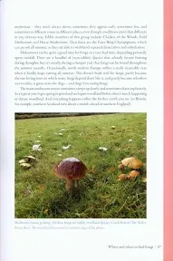 Edible Mushrooms - Moby the Great